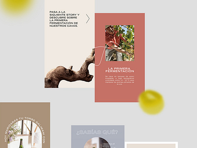 Story layout design AD advertising art direction brand identity branding design graphic design instagram social media storys vector