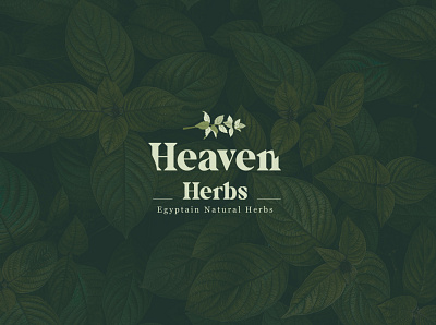 Heaven Herbs branding eco friendly graphic design green tea herbs leaf logo logo design organic packaging tea