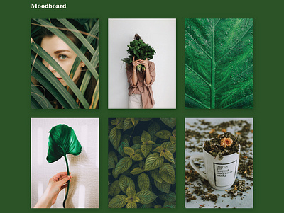 Heaven herbs mood board green leaves logo lush mood board photography