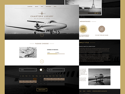 Charters Luxury business bw charters gold luxury personal plane vip