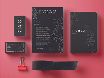 Enigma Branding branding design logo typography