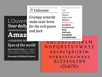 Calicanto Typeface books design editorial design graphicdesign serif font serif typeface typedesign typeface typography