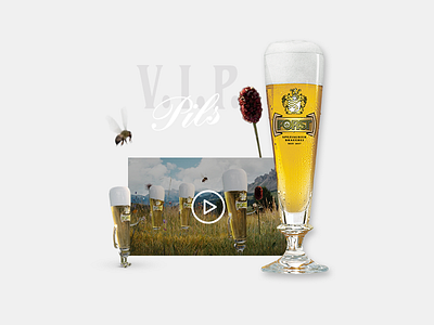 Detail landing page - cheers! beer character commercial landing video web