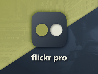 flickr pro logo redisign color flickr logo palette