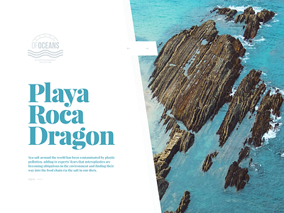 Playa Roca Dragon agency app clean digital flat icon icons minimal travel ui web