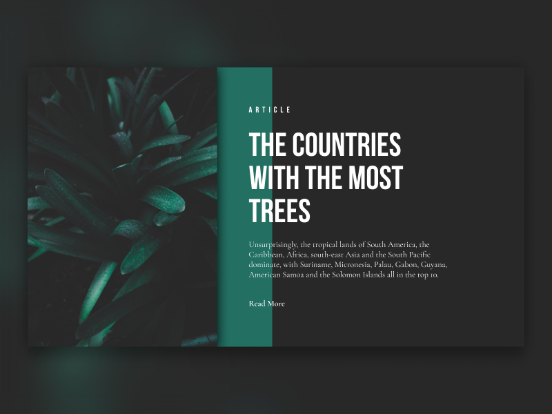 GREEN sketchapp everyday experience interface web ui minimal article green clean app nature
