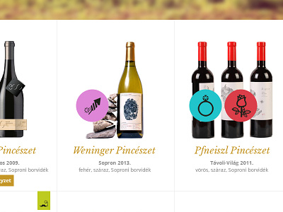 Apporto . social wine app .website .products