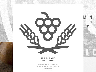 Szekszard. Logo design concept