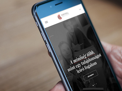 Controll Holding responsive website concept controll holding iso responsive training ui ux web webdesign website