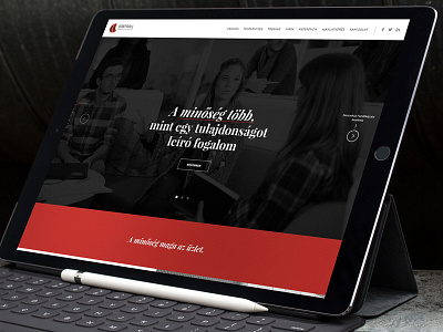 Controll Holding responsive website concept