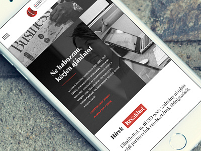 Controll Holding responsive website concept