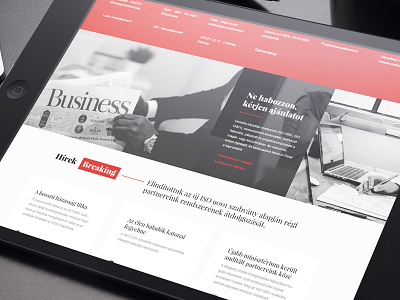 Controll Holding responsive website concept