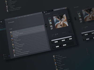 Creative Asset Library branding copy dark theme editing image library app library graphic design media media player multimedia storage ui ux web application