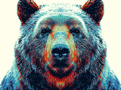 Bear - Colorful Animals