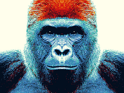 Gorilla - Colorful Animals