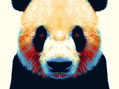 Panda - Colorful Animals animal art bear color colourful cute illustration nature panda portrait print wild