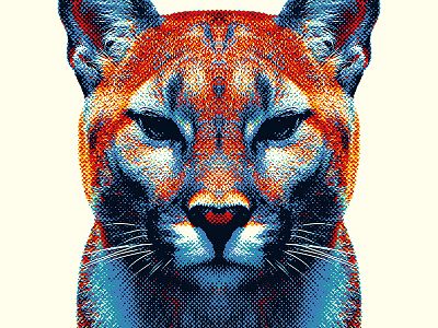 Puma - Colorful Animals