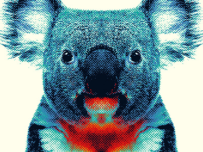 Koala - Colorful Animals