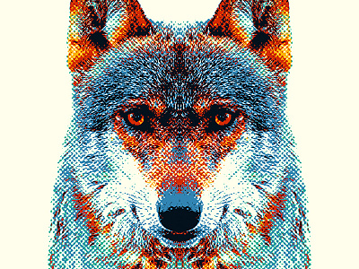 Wolf - Colorful Animals