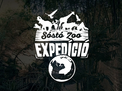 Sosto Zoo Logo Animation animation design logo motion typography web web design website