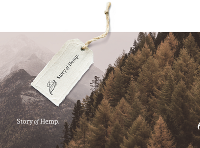 Story of Hemp - Logo design branding logo