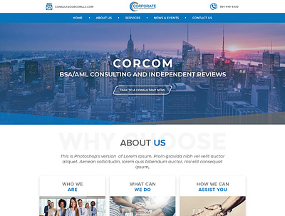 Consulting Company Website Design