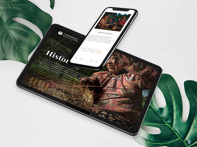Fenamad - Website amazon branding interactive jungle native nature peru tribe ui ui design ux ux design web web design website