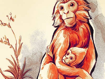 Happy Year of the Monkey! chinese new year cny illustration watercolor