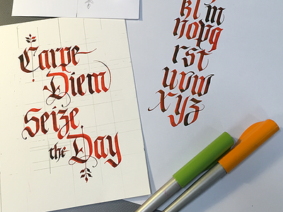 Carpe Diem, Seize the Day Card calligraphy card. lettering carpe diem parallel pen