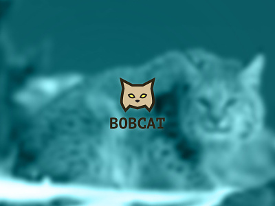 Bobcat logo bobcat branding logo minimal teal