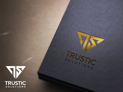 ts 3d logo design logo logo design logodesign typography