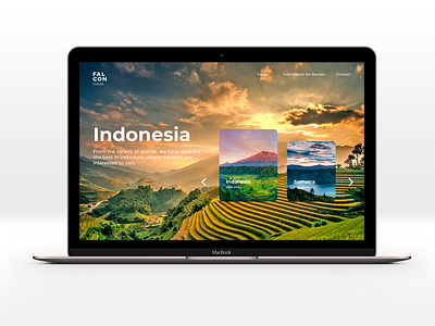 Web design for travel agency