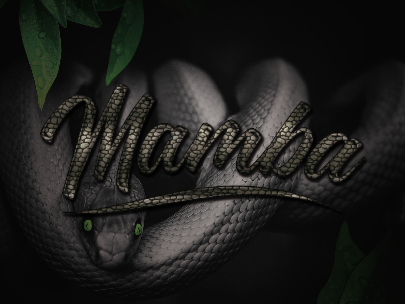 Dribbble - Text Effect Mamba B.jpg By WhiteSpacesInc.