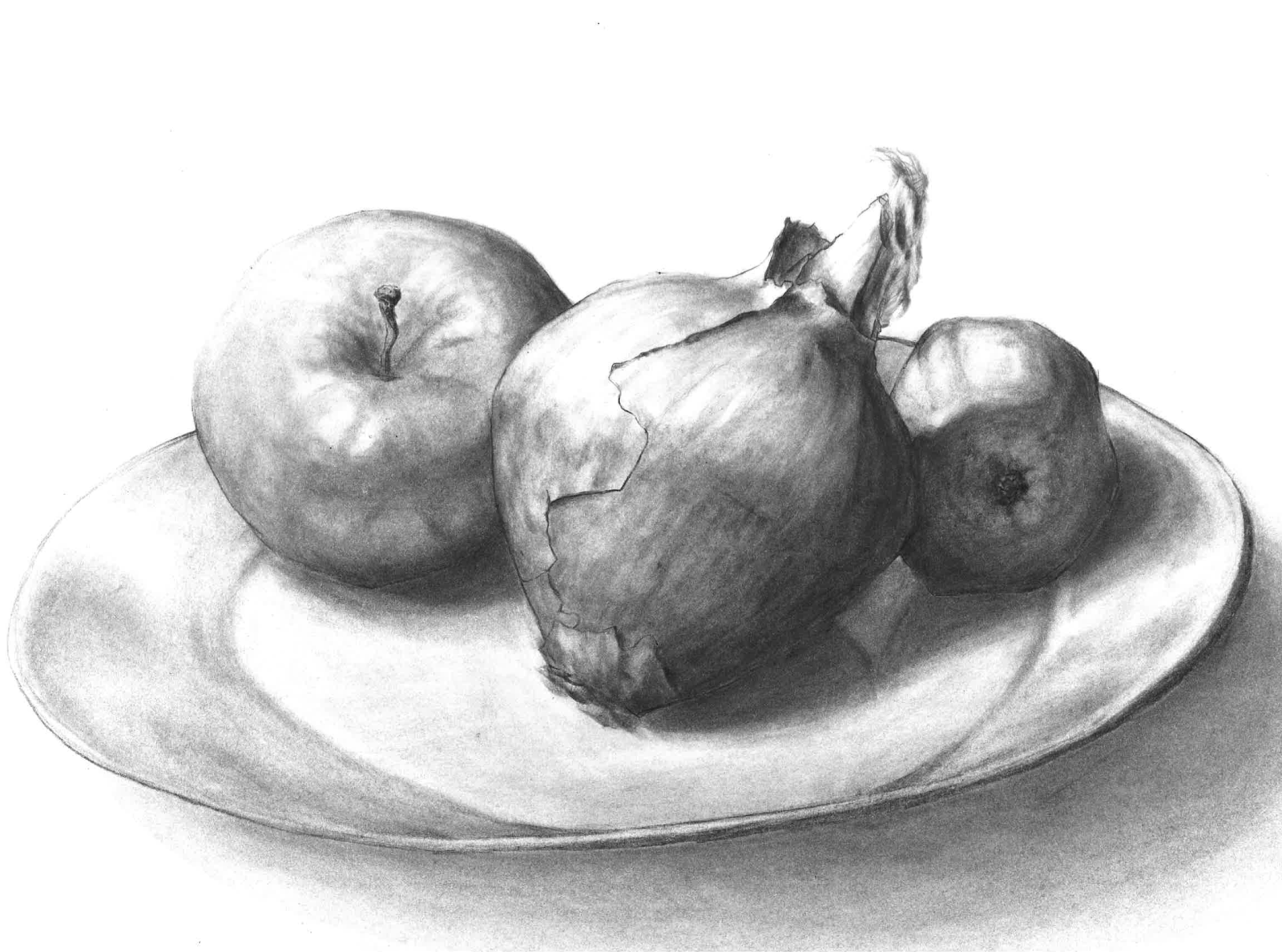Still Life Drawing with Vine Charcoal : r/learntodraw
