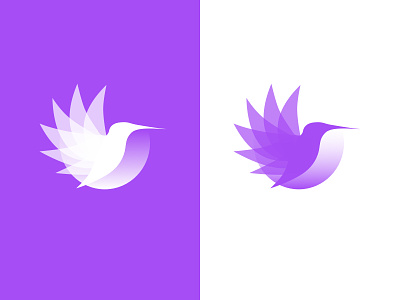 Colabri Logo versions bird branding colibri graphic icons illustration logo logodesign purple transitions wings