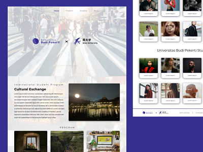 Cultural Exchange Program design ui