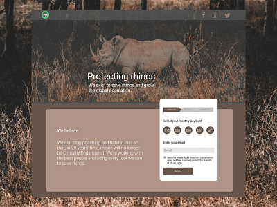 Protecting rhinos animals design rhinos ui ux web website