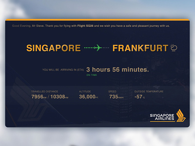 Singapore Airlines In-Flight Tracker aircraft airlines aviation in flight tracker ui user interface