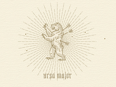 ursa major constellations engraving illustration ursamajor woodcut