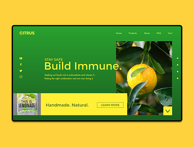 Citrus Website Concept design ui web website