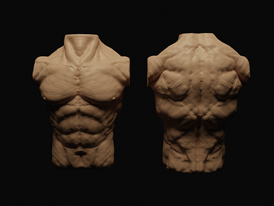 Pricipal Bust anatomy barroco bust clay dark rococó zbrush