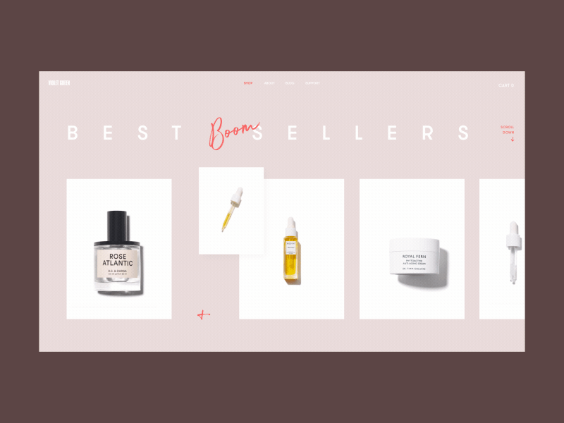 Dribbble 2