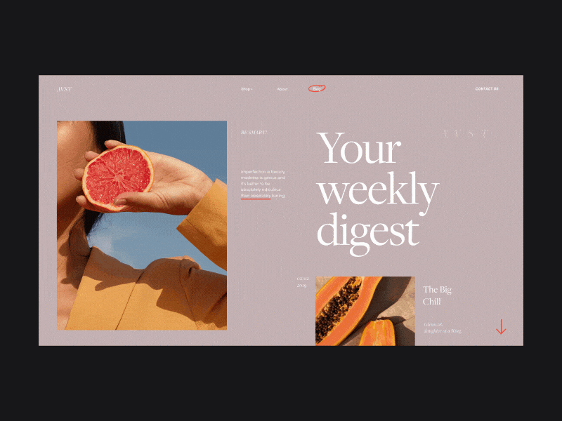AVST Weekly Digest Animation animation blog concept design digest e-commerce fashion gif grid interaction interface motion photo promo shop typography ui ux web website