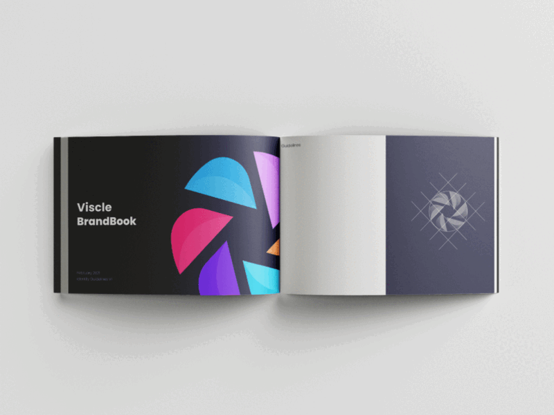 Brand book- Viscle branding graphic design logo