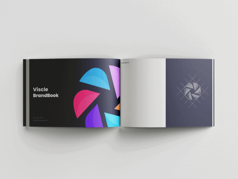 Brand book- Viscle