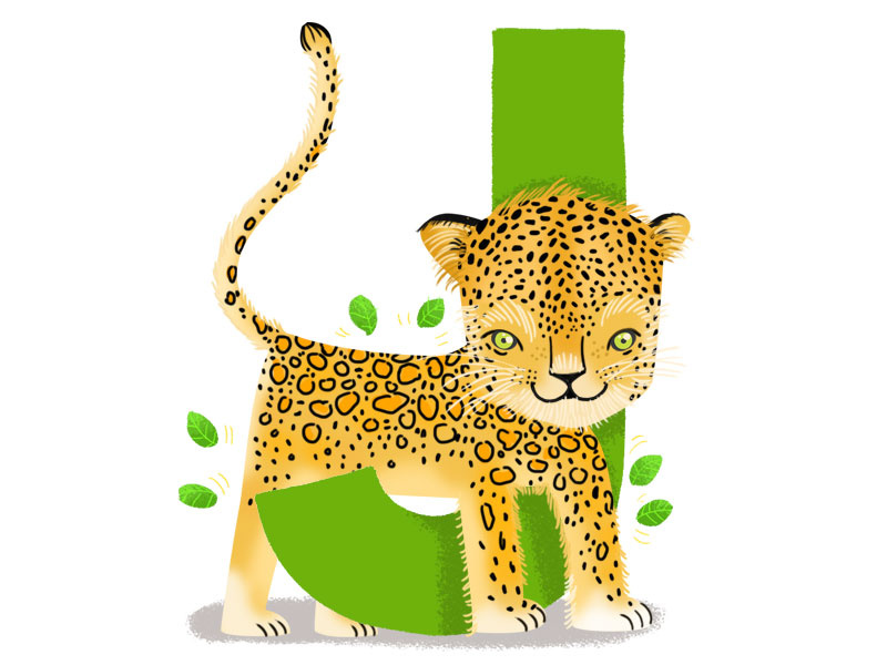 J For Jaguar By Magdalena Alvarez Dribbble J For Jaguar