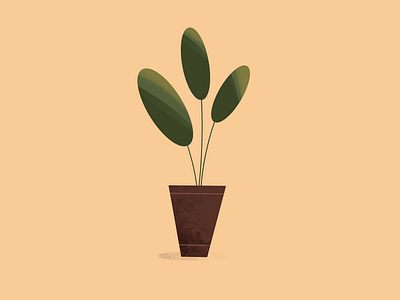 Simple Plant