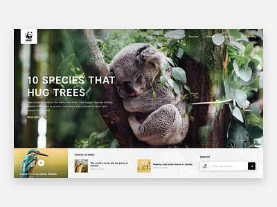 World Wide Fund for Nature/WWF