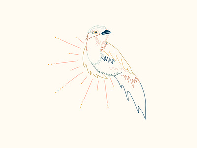 Boundless Radiant Bird