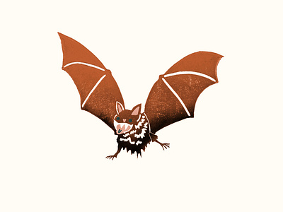 Boundless Bat